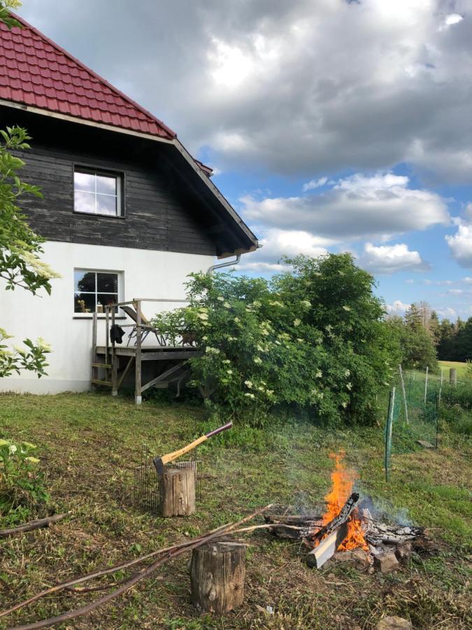 Ferienwohnung Pfaffensteghof Rickenbach  Exterior foto