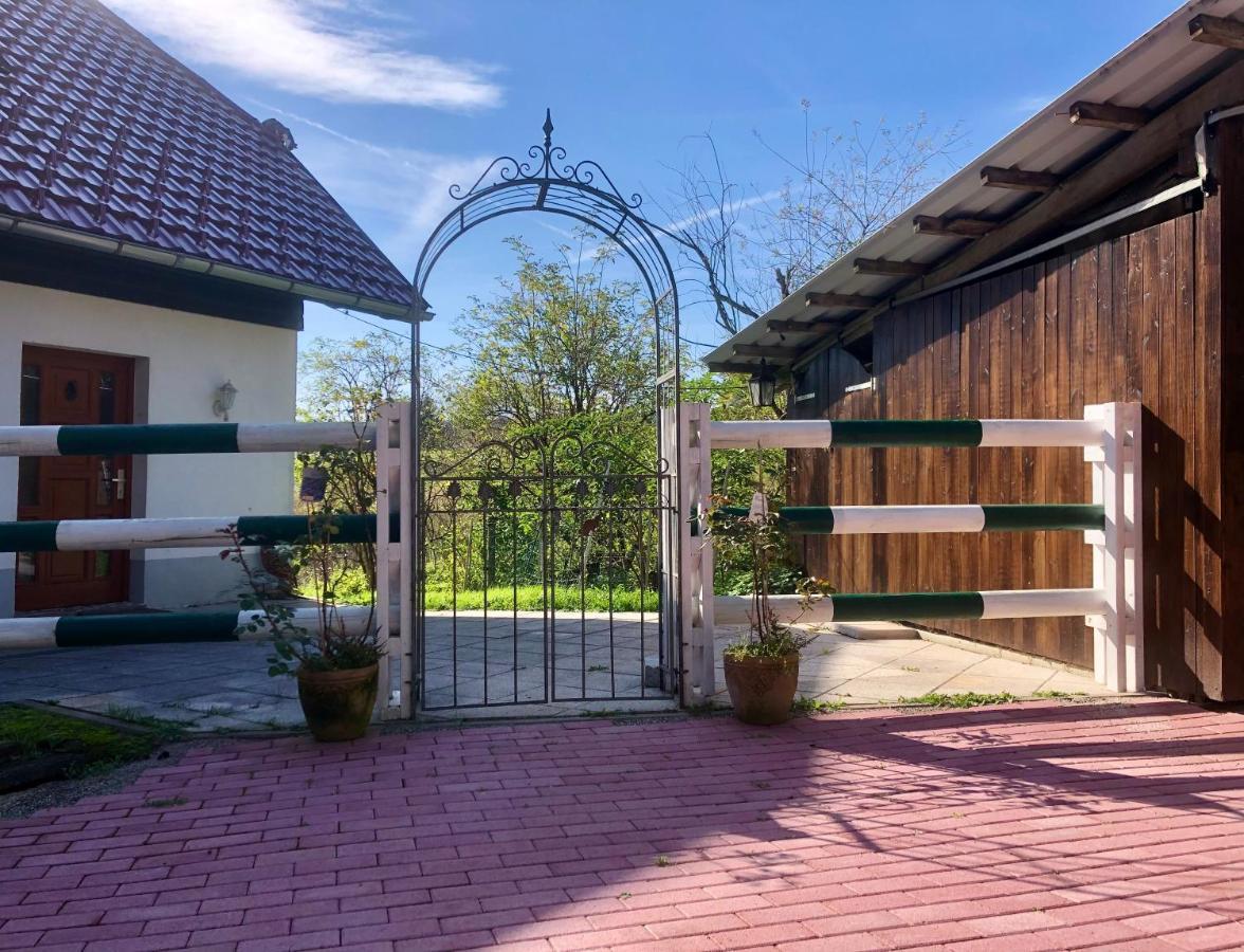 Ferienwohnung Pfaffensteghof Rickenbach  Exterior foto